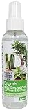 Florendi Jardin Engrais Plantes Vertes/Cactus/Bonsaï Spray Prêt-à-l'Emploi - Blanc 3,7 x 3,7 x 15,2 cm Photo, nouveau 2024, meilleur prix EUR 3,85 examen
