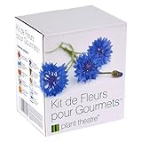 Il Kit Fiori Gourmet di Plant Theatre – 6 varietà di fiori commestibili da coltivare – regalo ottimale foto, nuovo 2024, miglior prezzo EUR 16,99 recensione