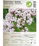 Semi di erbe - Valeriana comune / Valeriana officinale 30 Semi foto, nuovo 2024, miglior prezzo EUR 2,30 recensione