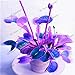 foto Pinkdose 100PCS / Bag, in Vaso Insettivori pianta Bonsai Dionaea muscipula Gigante della Clip Venere acchiappamosche Giardino: 7 recensione