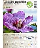Semi di erbe - Altea comune/ Althea officinalis 30 Semi foto, nuovo 2024, miglior prezzo EUR 2,30 recensione