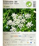 Semi di erbe - Anice / Pimpinella anisum L. 30 Semi foto, nuovo 2024, miglior prezzo EUR 4,40 recensione