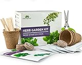 Herb Garden Kit - Grow Your Own Kitchen Herbs Indoor - Set regalo del giardiniere - 5 pacchetti di semi di erbe, basilico, prezzemolo, timo, coriandolo, aneto e forbici alle erbe con 3 lame foto, nuovo 2024, miglior prezzo EUR 17,92 recensione
