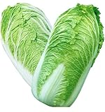 KINGDUO Semi di Cavolo Delizioso Cinese di 100Pcs Nutriente Verde Verdura Semi di Brassica Piante Giardino foto, nuovo 2024, miglior prezzo EUR 9,24 recensione