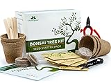 Urban Sprout Bonsai Baum Anzuchtset - Züchten Sie Ihren eigenen Bonsaibaum mit Hilfe von Samen – Garten Geschenkset - 5 Arten von Bonsai-Bäumen – Starter-Samen-Set mit Bonsai Werkzeug Set Foto, neu 2024, bester Preis EUR 25,60 Rezension