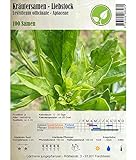 Semi di erbe - Levistico - sedano di monte / Levisticum officinale - Apiaceae 100 Semi foto, nuovo 2024, miglior prezzo EUR 2,30 recensione