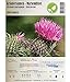 foto Semi di erbe - Cardo mariano / Silybum marianum - Asteraceae 100 Semi recensione