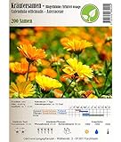 Semi di erbe - Calendola / Fiorrancio- Calendula officinalis - Asteraceae 200 Semi foto, nuovo 2024, miglior prezzo EUR 2,30 recensione