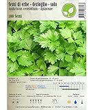 Semi di erbe - Cerfoglio/Anthriscus cerefolium - Apiaceae - diversi tipi(Cerfoglio - solo) foto, nuovo 2024, miglior prezzo EUR 2,30 recensione