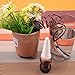 Foto MMRM Mini Blumentopf Waterer Zimmerpflanzen Automatische Tropfbewässerung Bewässerungssystem Rezension