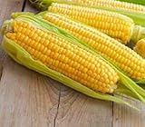 Sweet Corn Seeds for Planting - Kandy Korn Sweet Corn Seed- 300 Count Photo, new 2024, best price $14.98 ($0.05 / Count) review