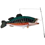 Premier Kites Swimming Fish - Bass Photo, new 2024, best price $37.95 review