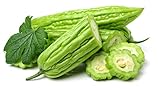120+ Bitter Melon Gourd Seeds for Planting - Balsam Pear - Momordica charantia Bitter Squash - Heirloom Organic Non-GMO Bitter Gourd Vegetable Seeds for Home Garden/Outdoor Photo, new 2024, best price $26.23 ($0.22 / Count) review