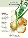 Organic Walla Walla Onion Seeds - 500 mg Photo, new 2024, best price $2.69 review