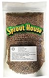 The Sprout House Certified Organic Non-GMO Sprouting Seeds Radish Mix Daikon Radish, and/or Triton Radish (Purple Stems/Green Leaves) and/or China Red Radish 1 Pound Photo, new 2024, best price $16.05 ($1.00 / Ounce) review