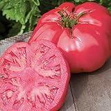 Burpee 'Caspian Pink' Heirloom | Large Pink Beefsteak Slicing Tomato | 30 Seeds Photo, new 2024, best price $6.13 ($0.20 / Count) review
