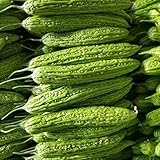 50 Pcs Non-GMO Bitter Gourd Seeds Bitter Melon Seeds Bitter Squash Seeds Balsam Pear Photo, new 2024, best price $17.89 review