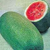 Watermelon, Charleston Grey, Heirloom,100 Seeds, Large Photo, new 2024, best price $2.99 ($0.03 / Count) review