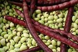 Purple Hull Pea Seeds for Planting - 250 Seeds Photo, new 2024, best price $13.97 ($0.06 / Count) review