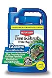 BioAdvanced 701615A Gal Tree and Shrub Control, 1 gallon, Concentrate Photo, new 2024, best price $74.99 review