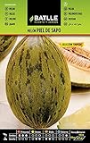 Melon PIEL DE SAPO S. TORPEDO Foto, nuevo 2024, mejor precio 1,60 € revisión
