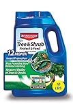 BioAdvanced 701910A 12-Month Tree and Shrub Protect and Feed Insect Killer and Fertilizer, 10-Pound, Granules Photo, new 2024, best price $54.48 review