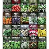 Survival Garden Seeds Apartment Kit Seed Vault - Non-GMO Heirloom Survival Garden Seeds for The Urban Homestead - Container Friendly Vegetables for Growing on Your Patio, Porch, or Any Small Space Photo, new 2024, best price $24.99 review