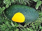 David's Garden Seeds Fruit Watermelon Moon & Stars 3147 (Yellow) 25 Non-GMO, Open Pollinated Seeds Photo, new 2024, best price $3.95 review