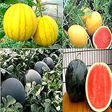 Cozy Crib Multicolor Watermelon Mix About 20 Seeds Photo, new 2024, best price $5.99 ($0.30 / Count) review