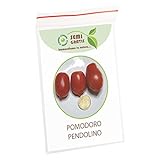 SemiGratis - 5 semi di Pomodoro Pendolino - pomodorino piennolo spunzillo pendolo foto, nuovo 2024, miglior prezzo EUR 3,50 recensione