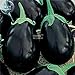 foto Visa Store 2018 vendita calda Davitu melanzane nero grandi semi di ortaggi, 100 semi, organici gustosi per la casa giardino E4327I recensione