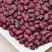 foto Fagioli, fagioli rossi piccoli, messicano del fagiolo rosso/Chili Beans, Heirloom (Bush) 200 semi recensione