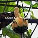 foto Go Garden semi di zucca ornamentale a forma di strano - 8 pc/lotto recensione
