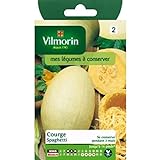 Vilmorin - Bustina semi Zucca Spaghetti foto, nuovo 2024, miglior prezzo EUR 3,95 recensione