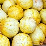 Farmerly 30 Organic Lemon cetriolo Semi Heirloom Non-GMO croccante dolce fragrante gialle foto, nuovo 2024, miglior prezzo  recensione
