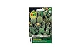Miscela speciale di cactus | Questo pacchetto porta incredibili 50 piante | Piante d'appartamento | per gli amanti delle piante foto, nuovo 2024, miglior prezzo EUR 8,67 recensione