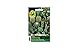 foto Miscela speciale di cactus | Questo pacchetto porta incredibili 50 piante | Piante d'appartamento | per gli amanti delle piante recensione