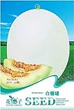 Portal Cool 1 confezione Semi di melone bianco zucchero semi zucchero miele melone whitebark melone dolce pianta foto, nuovo 2024, miglior prezzo EUR 9,99 recensione