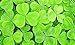 foto SEMI PLAT firm-100pcs / lot magici fagioli crescente del messaggio della Seeds Magic Bean marrone fagiolo magico inglese bonsai decorazione domestica verde recensione