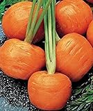 SEMI PLAT firm-100pcs / bag parigino semi di carota non OGM Vegetable Seeds cucina Assisted Nutrizione Outdoor Vaso da fiori per il giardino domestico foto, nuovo 2024, miglior prezzo EUR 12,99 recensione