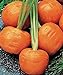 foto SEMI PLAT firm-100pcs / bag parigino semi di carota non OGM Vegetable Seeds cucina Assisted Nutrizione Outdoor Vaso da fiori per il giardino domestico recensione