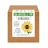 Garden Pocket - Fai crescere il tuo GIRASOLE - Kit di germinazione foto, nuovo 2024, miglior prezzo EUR 14,90 recensione