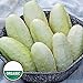 foto PLAT FIRM Germinazione I semi PLATFIRM-Casper Bianco Melanzana francese Aubergine Heirloom Non-GMO Vegetale - 10 Semi recensione