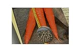 30x Carota Giove ( Flakkese Sel - Carote Seme Verdure KS599 foto, nuovo 2024, miglior prezzo EUR 10,74 recensione