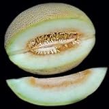 Portal Cool 10 - Semi: semi di melone Charlynne - Molto dolce, cremoso e aromatico, morbido e succoso. !!!! foto, nuovo 2024, miglior prezzo EUR 9,99 recensione