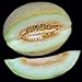 foto Portal Cool 10 - Semi: semi di melone Charlynne - Molto dolce, cremoso e aromatico, morbido e succoso. !!!! recensione
