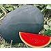 foto SEMI PLAT firm-dolce gigante nero anguria Semi, cocomero senza semi Semi, Giardino Piantare, Cortile Bonsai Frutta - 20 Particelle/Bag recensione