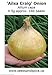 foto Portal Cool Semi di cipolla 'Ailsa Craig' (Allium Cepa) 0.5G 140 recensione
