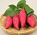 foto Pinkdose 100pcs / bag dolci semi di patate Verdura semi freschi di frutta verdura e alimentari Forniture da giardino piante bonsai per il giardino di casa: 1 recensione