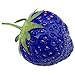 foto Rosepoem 100PCS Natural Organic Blue Strawberry Antiossidante Semi Pianta di piante rare e giardino bonsai recensione